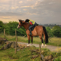 Buy canvas prints of Horse and Rider by Derrick Fox Lomax