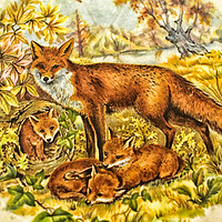 Buy canvas prints of Fox And Cubs by Derrick Fox Lomax