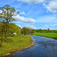Buy canvas prints of River Ribble at paythorne by Derrick Fox Lomax