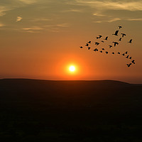 Buy canvas prints of Sunset over bowland forest by Derrick Fox Lomax