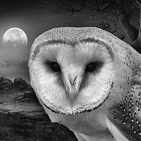 Buy canvas prints of Barn owl at night by Derrick Fox Lomax