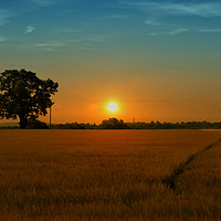 Buy canvas prints of Sunset over cheshire by Derrick Fox Lomax