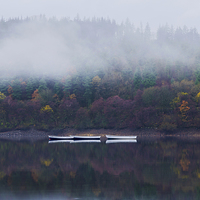Buy canvas prints of  fog on the water  by Chris Bradley