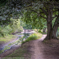 Buy canvas prints of Basingstoke Canal - Dry in Summer  by Mark Poley