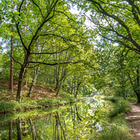 Buy canvas prints of Basingstoke Canal at Pirbright, England by Mark Poley