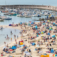 Buy canvas prints of Lyme Regis Beach and Harbour by Mark Poley