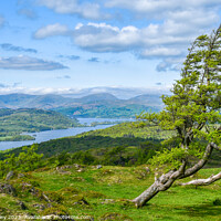 Buy canvas prints of Windermere Lake and Gummers How by Mark Poley