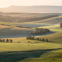 Buy canvas prints of South Downs view towards Ashcombe Mill by Trevor Sherwin