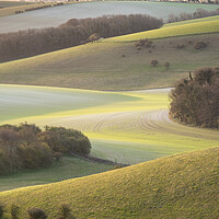 Buy canvas prints of South Downs View towards Ashcombe Mill by Trevor Sherwin