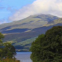 Buy canvas prints of Ben Lawers by paul green