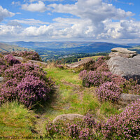 Buy canvas prints of Hope Valley in the Peak District heather by Chris Warham