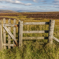 Buy canvas prints of Peak District moors in the High Peak above Buxton  by Chris Warham