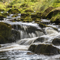 Buy canvas prints of  Goyt valley river splashing over rocks  by Chris Warham