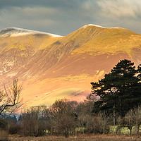 Buy canvas prints of Skiddaw in autumn by Chris Warham