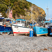 Buy canvas prints of Cadgwith Cove fishing boats  by Chris Warham
