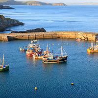 Buy canvas prints of Mevagissey outer harbour by Chris Warham