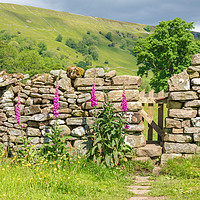 Buy canvas prints of Swaledale - gateway to a hay meadow by Chris Warham