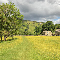 Buy canvas prints of Muker Swaledale  buttercup meadows by Chris Warham