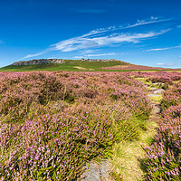 Buy canvas prints of Hathersage Moor heather - path to Higger Tor by Chris Warham