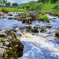 Buy canvas prints of River Wharfe in Langstrothdale, Yorkshire Dales by Chris Warham