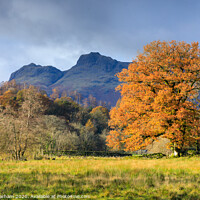 Buy canvas prints of Lake District in Autumn - Langdale by Chris Warham