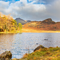 Buy canvas prints of Lake District - Blea Tarn and the Langdale Pikes by Chris Warham