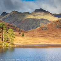 Buy canvas prints of Lake District - across Blea Tarn to the Langdale P by Chris Warham