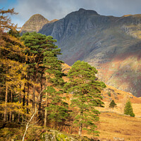 Buy canvas prints of Blea Tarn and the Langdale Pikes - Lake District by Chris Warham