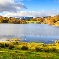 Buy canvas prints of Loughrigg Tarn - Lake District by Chris Warham