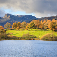 Buy canvas prints of Lake District - Loughrigg Tarn by Chris Warham