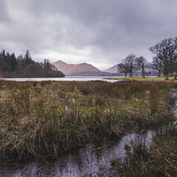 Buy canvas prints of  The Stream To Catbells by Phil Maddison
