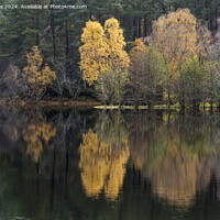 Buy canvas prints of Autumn Reflection by John Ellis