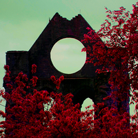 Buy canvas prints of  Red Abbey by Scott Williams