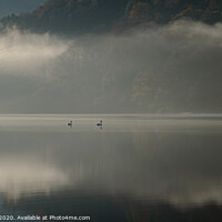 Buy canvas prints of Loweswater Mist and Swans, Lake District by Philip Royal