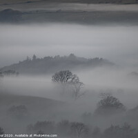 Buy canvas prints of Trees in the Mist - Loweswater Lake District by Philip Royal