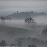 Buy canvas prints of Tree in Mist, Loweswater, Lake District by Philip Royal