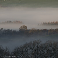 Buy canvas prints of First light on tree tops, Lake District by Philip Royal