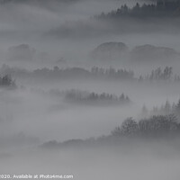 Buy canvas prints of Tree lines in the Mist - Loweswater Lake District by Philip Royal