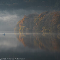 Buy canvas prints of Loweswater Swans and Autumn Mist, Lake District by Philip Royal