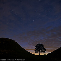 Buy canvas prints of The Big Dipper over Sycamore Gap, Northumberland by Philip Royal