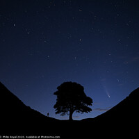 Buy canvas prints of Stargazing Comets at Sycamore Gap, Northumberland by Philip Royal