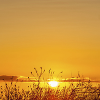 Buy canvas prints of  Allonby Sunset by martin davenport