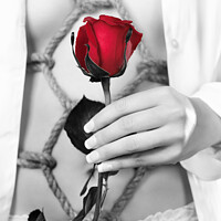 Buy canvas prints of Wall Art print MXI22872: Woman with Red rose in Sensual Bondage photograph by MaximImages Wall Art