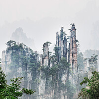 Buy canvas prints of MXI27727 Floating mountain peaks in fog Zhangjiaji by MaximImages Wall Art