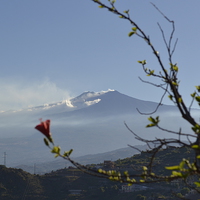 Buy canvas prints of  Mount Etna, Sicily  by Laurianne Smith