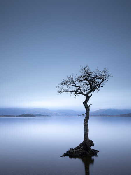 Loch Lomond Scotland Picture Board by Phil Durkin DPAGB BPE4