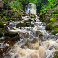Buy canvas prints of Tigers Clough Bolton by Phil Durkin DPAGB BPE4