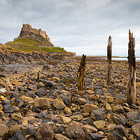 Buy canvas prints of Lindisfarne Castle - Northumberland by Phil Durkin DPAGB BPE4