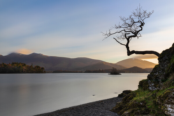 Otterbield Bay The Lake District National Park Picture Board by Phil Durkin DPAGB BPE4
