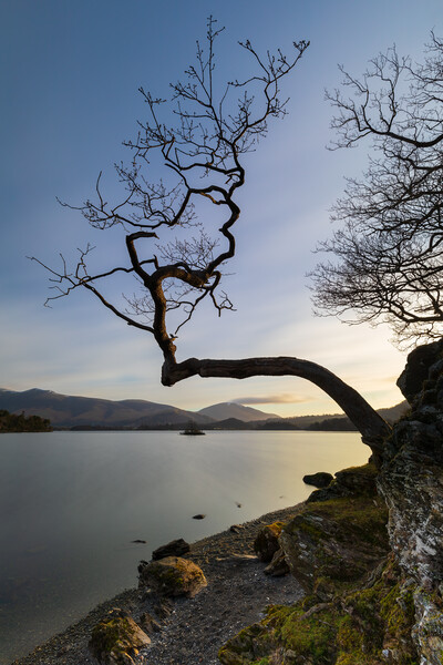 Sunrise At Otterbield Bay Lake District National Park Picture Board by Phil Durkin DPAGB BPE4